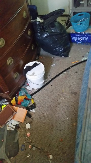 20180805_161954.jpg