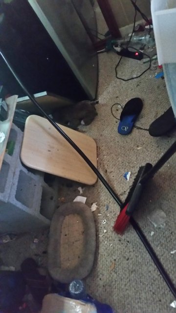 20180805_162011.jpg