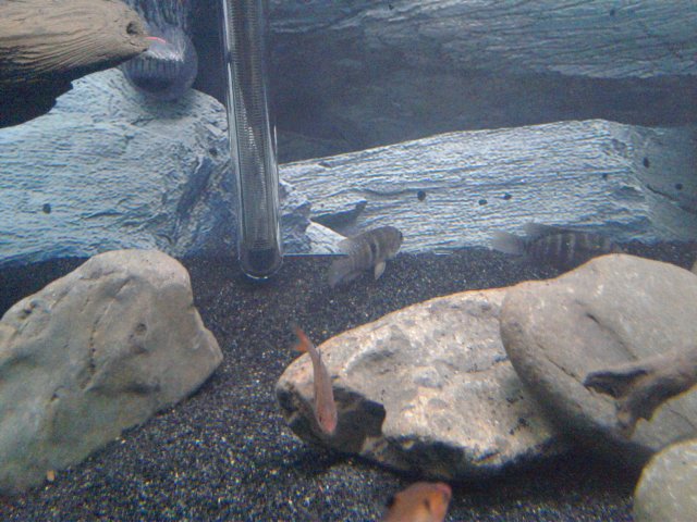 20180805_174754.jpg