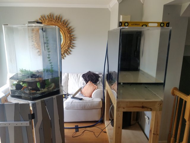 20180805_161934.jpg
