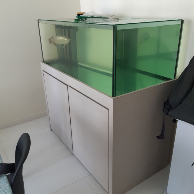 For Fish Tank And Cabinet Arowana