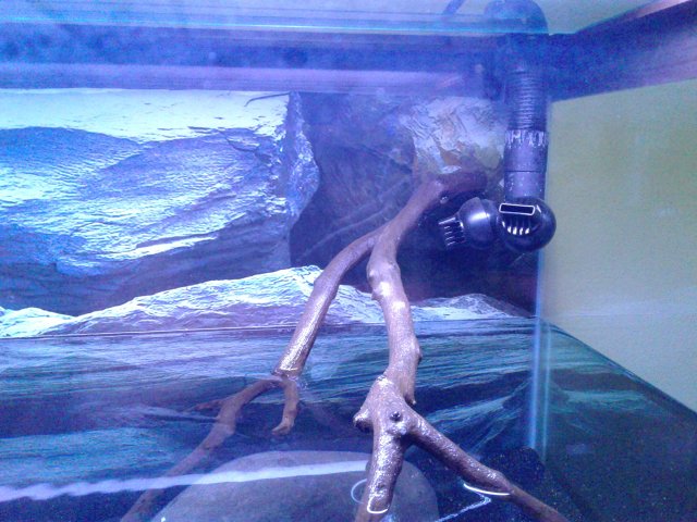 20180806_085308.jpg
