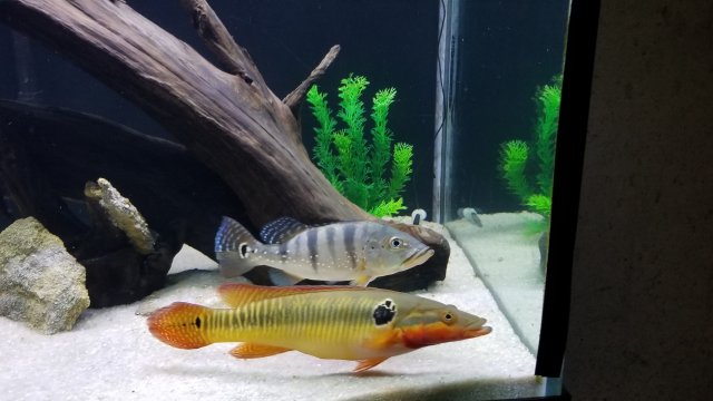 20180806_184704.jpg