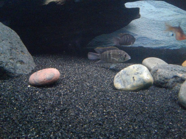 20180807_185759.jpg