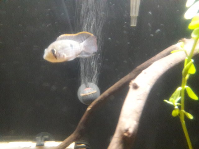 20180410_205229.jpg 20180410_205229.jpg