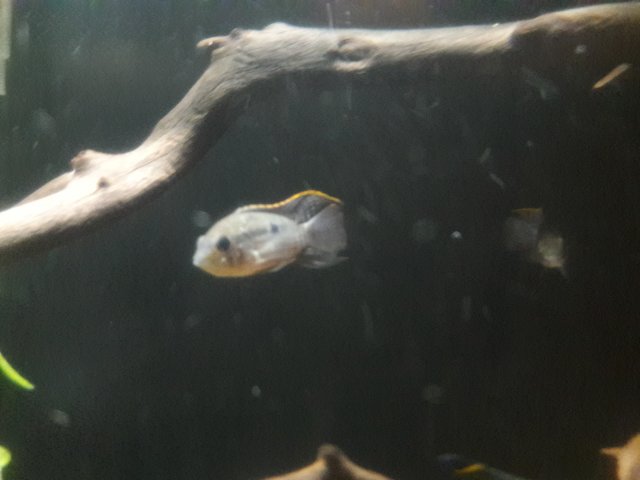 20180410_205216.jpg 20180410_205216.jpg