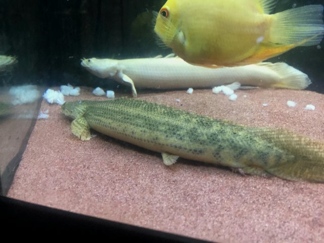 20180809_123832.jpg