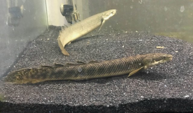 20180809_145232.jpg 20180809_145232.jpg