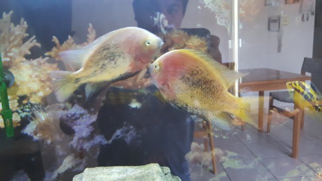 20180810_134420.jpg