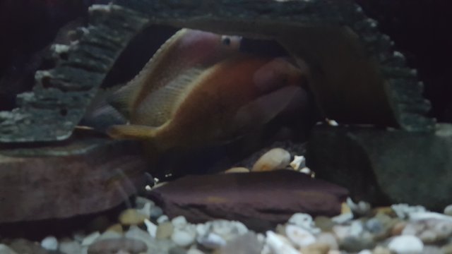 20180812_011405.jpg