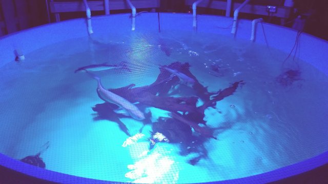 20180811_201726_Film4.jpg