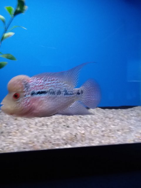 20180812_105705.jpg