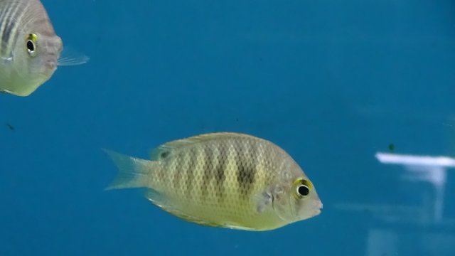 DSC01358.JPG