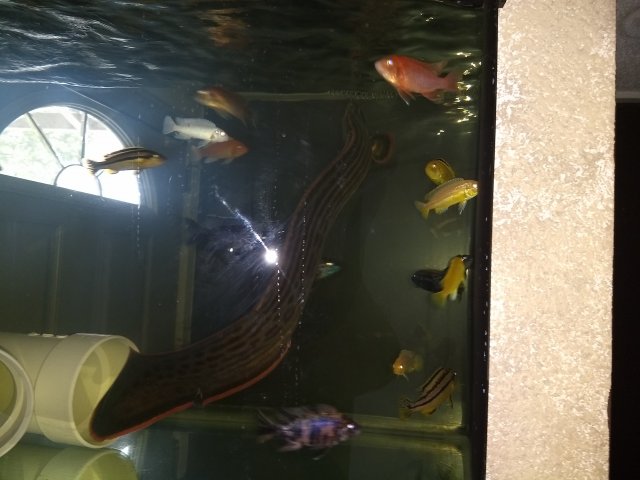 IMG_20180608_103151942.jpg