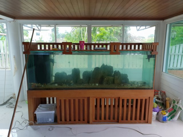 New House 375 gallon Aquarium small.jpg