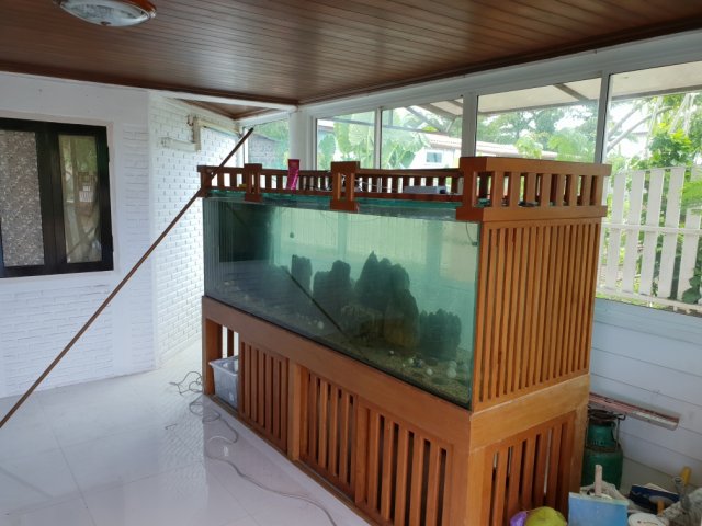 New House 375 gallon Aquarium 2 small.jpg