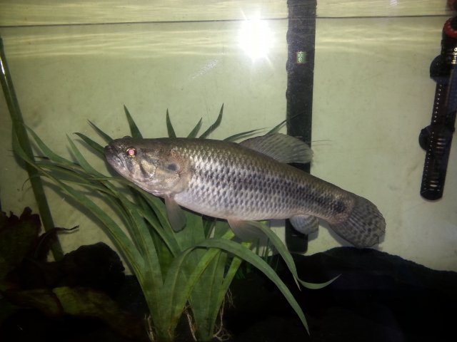 20160316_161109.jpg 20160316_161109.jpg