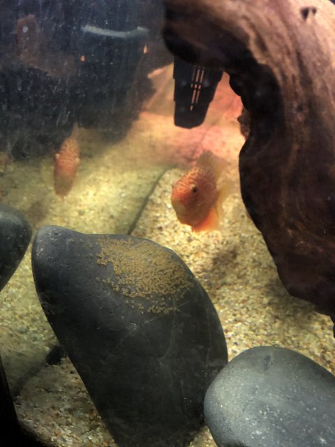 Photo Mar 22, 7 56 23 PM.jpg Photo Mar 22, 7 56 23 PM.jpg