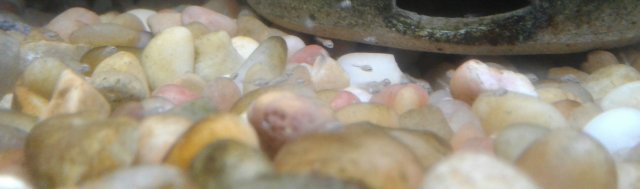 20180814_135316.jpg