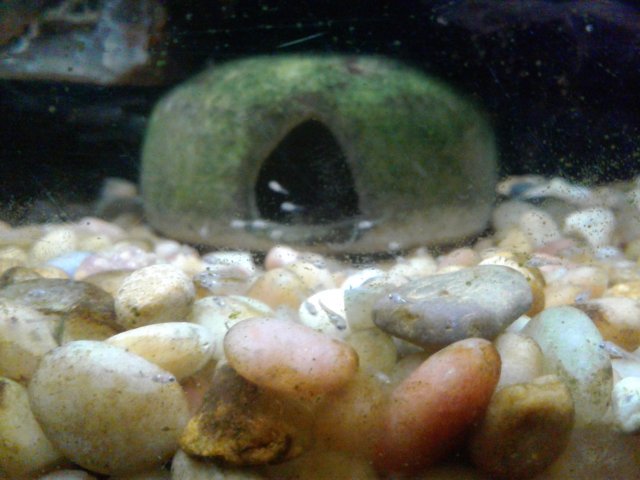 20180814_152900.jpg