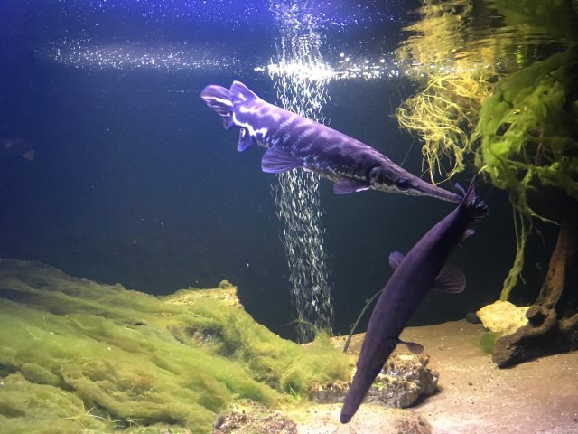 E6DB8EF7-2669-42F5-9A64-C15FCE1755D2.jpeg E6DB8EF7-2669-42F5-9A64-C15FCE1755D2.jpeg