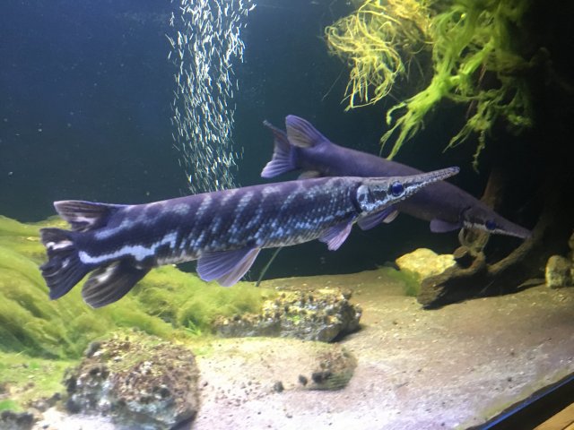 AC025646-3CB9-43EE-ADDB-82B259874B78.jpeg AC025646-3CB9-43EE-ADDB-82B259874B78.jpeg