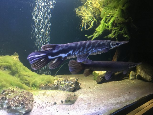 9063E6FA-A7A0-4F97-8531-93041C71B3F1.jpeg 9063E6FA-A7A0-4F97-8531-93041C71B3F1.jpeg