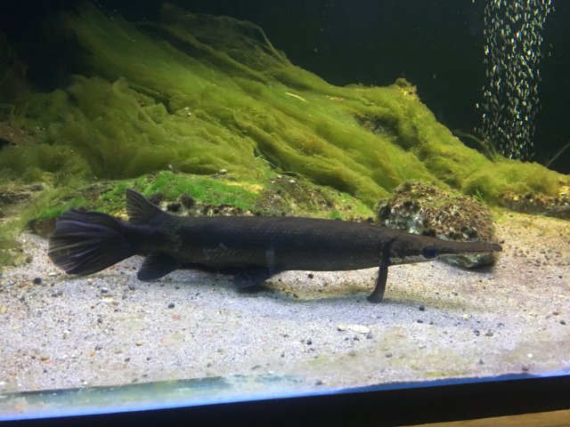 1F2DFAF0-F250-4D2A-AEA1-97EE41FF2A57.jpeg 1F2DFAF0-F250-4D2A-AEA1-97EE41FF2A57.jpeg