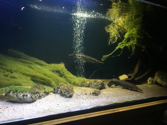 4AA07F6E-A61F-44B3-BAD0-FA249795FA9B.jpeg 4AA07F6E-A61F-44B3-BAD0-FA249795FA9B.jpeg