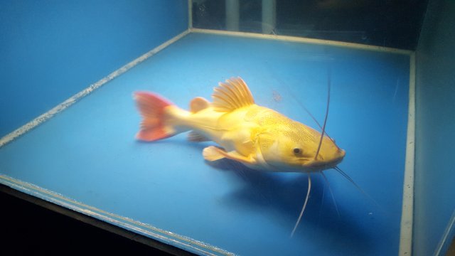 20180806_235504.jpg