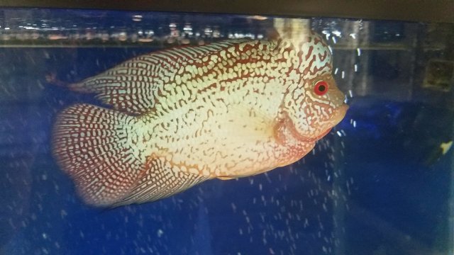 20180807_095430.jpg