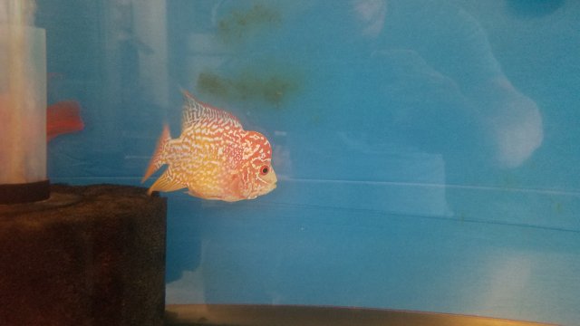 20180807_100327.jpg