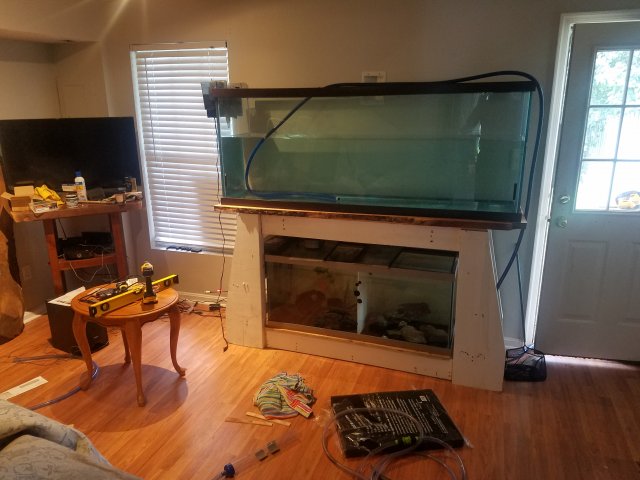 20180815_130048.jpg