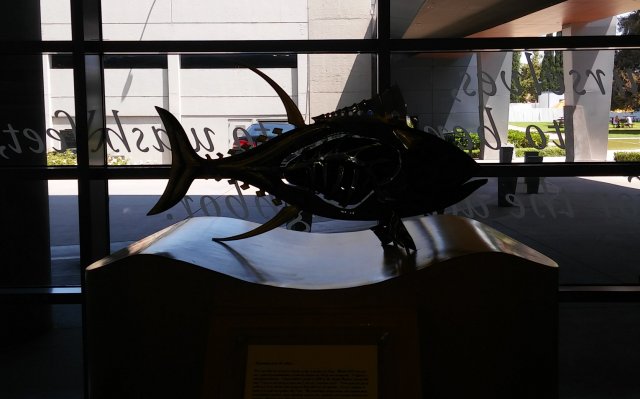 20180719_112346-1.jpg