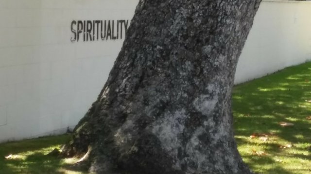 20180719_113100-1-1.jpg