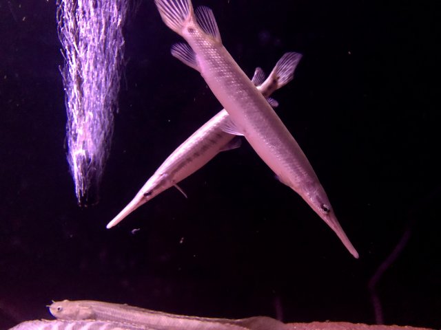082D6272-DB9F-4E96-BB9D-AD8D9C9E5442.jpeg