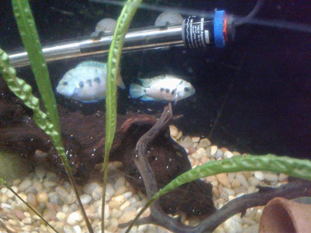 20180821_153406.jpg