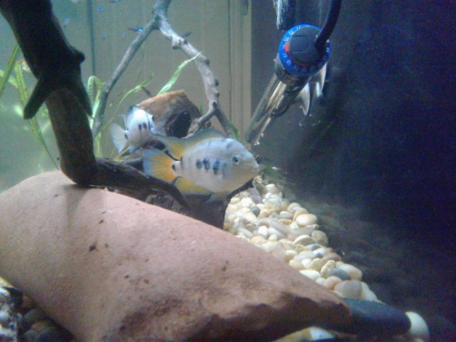 20180821_154858.jpg