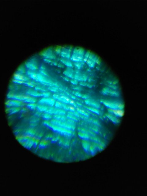 20180822_021643.jpg