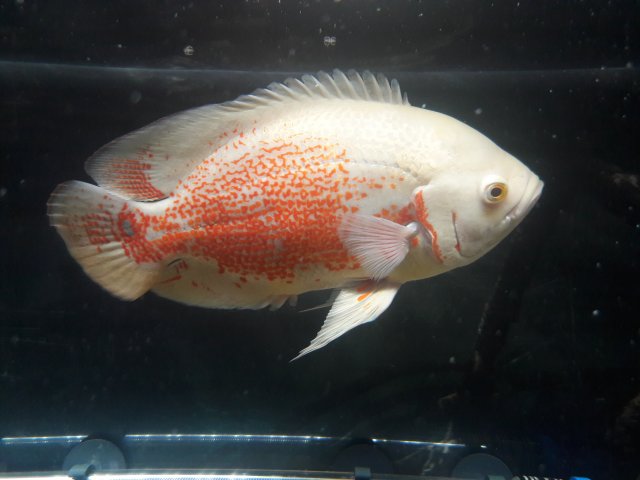 20180406_110119.jpg