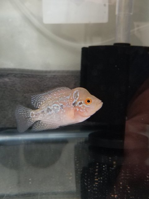 20180823_223044.jpg
