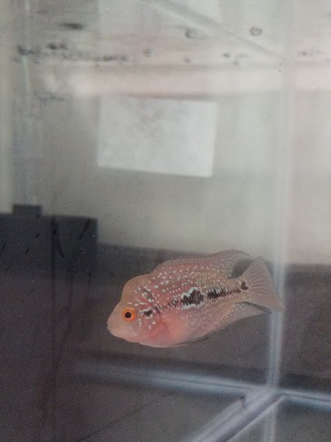 20180823_224116.jpg