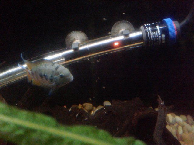 20180824_103015.jpg