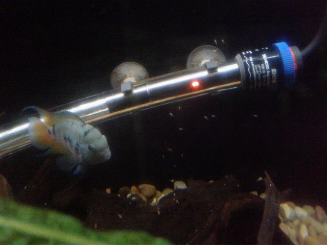 20180824_103010.jpg