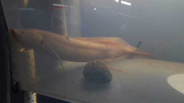 20180806_235613.jpg