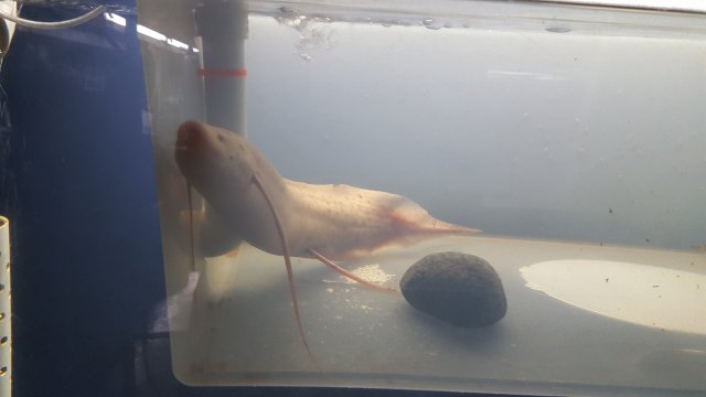 20180701_165733.jpg