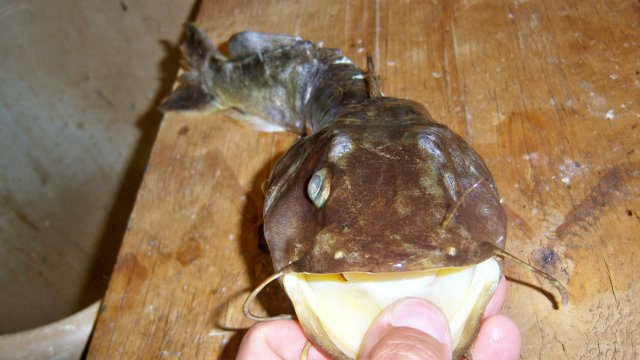 100_8197.JPG