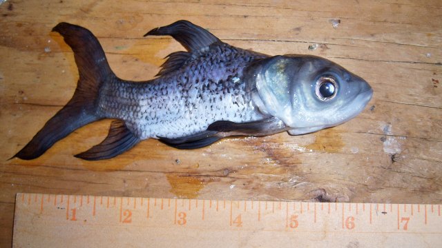 100_8203.JPG
