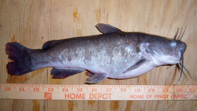 100_8186.JPG