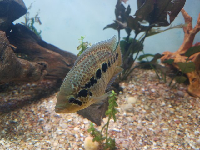 20180826_204913.jpg